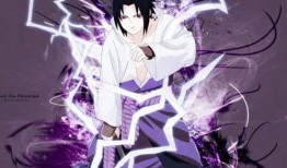 佐助早期爆料视频合集,揭秘忍者世界的秘密与成长历程